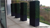 Square Hedge Planter - Maison Bertet Online