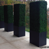 Square Hedge Planter - Maison Bertet Online