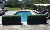 Boxwood Hedge Planter