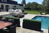 Boxwood Hedge Planter