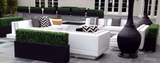 Boxwood Hedge Planter