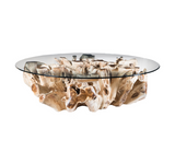 Attina Coffe Table - Maison Bertet Online