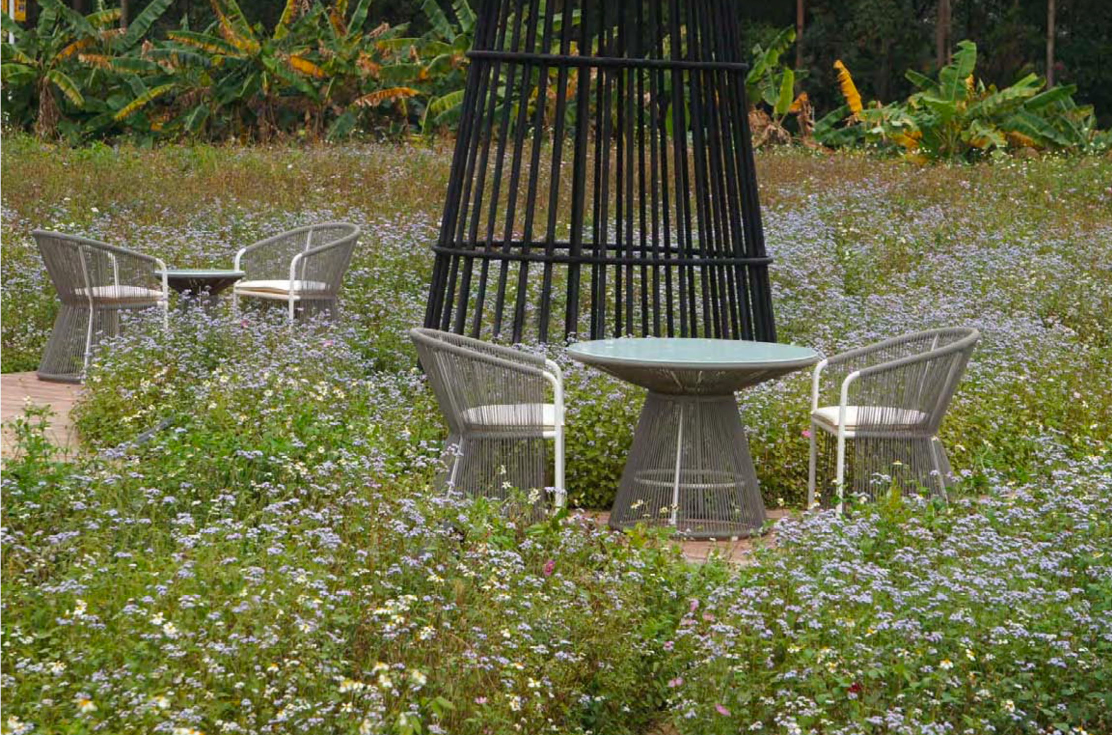Modern Round Dining Arm Chair - Maison Bertet Online